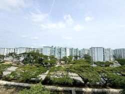 Blk 50 Chai Chee Gardens (Bedok), HDB 3 Rooms #525291241